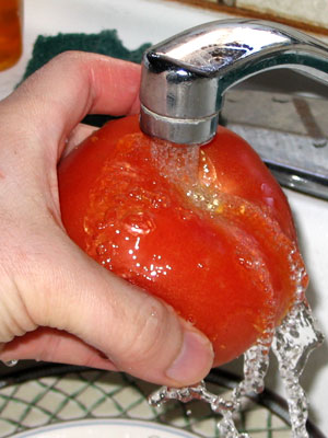 Clean Tomatoes For Approximately 15 Seconds Gently (33k)